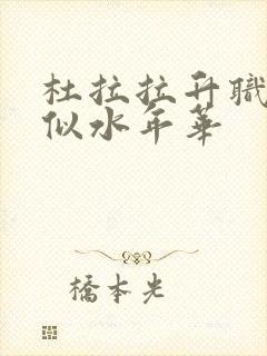 杜拉拉升职记之似水年华