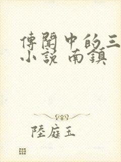 传闻中的三公主小说 南镇