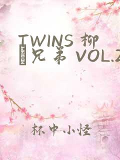 TWINS 柳澤兄弟 VOL.2