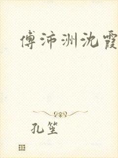 傅沛洲沈霞小说