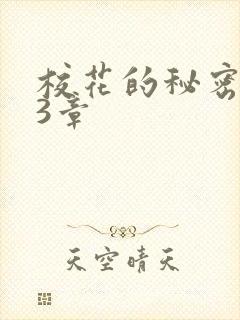 校花的秘密第23章