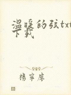 温暖的弦txt下载