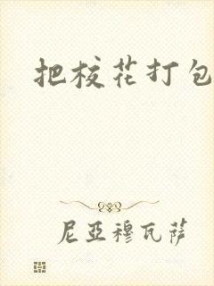 把校花打包带走