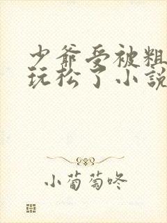 少爷受被粗汉H玩松了小说