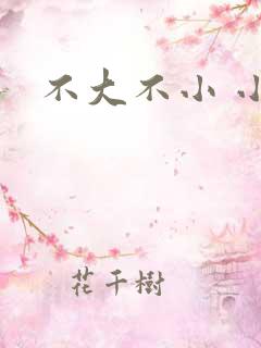 不大不小 小说