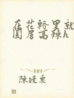 在花轿里就开始圆房高辣h