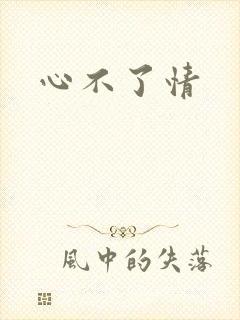 心不了情