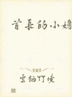 首长的小媳妇