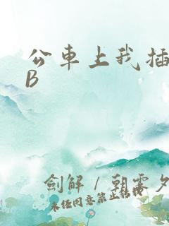 公车上我插上骚B