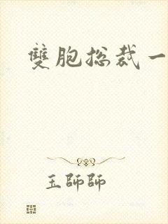 双胞总裁一个妻