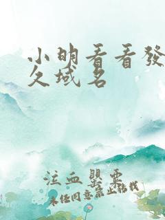 小明看看发布永久域名