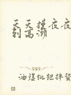 天天摸夜夜摸摸到高潮