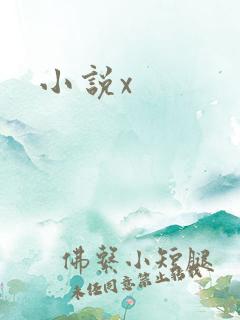 小说x