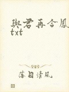 与君再合凤求凰txt