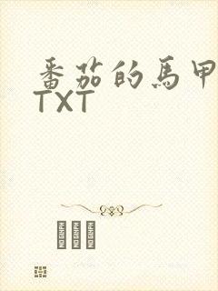 番茄的马甲小说TXT