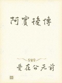 阿宾后传