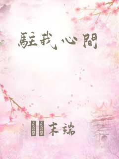 驻我心间
