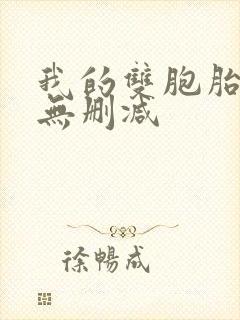 我的双胞胎老婆无删减