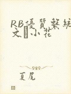 RB优质系统全文寀小花