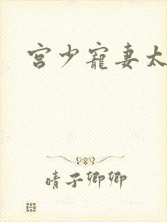 宫少宠妻太凶猛