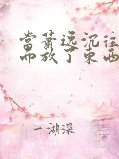 当萧逸沉往你里面放了东西小玩具