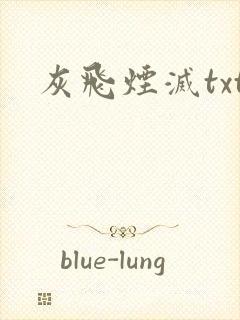 灰飞烟灭txt