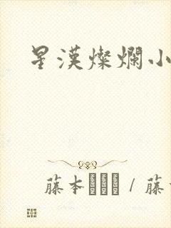 星汉灿烂小说