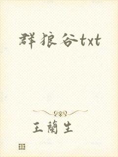 群狼谷txt