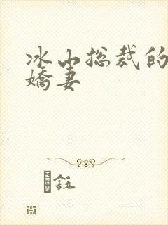 冰山总裁的掠爱娇妻