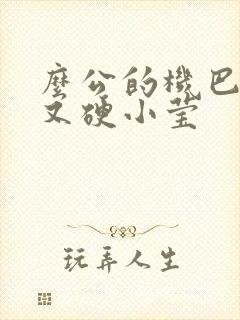 么公的机巴又粗又硬小莹