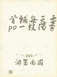 首辅每天要不够po一枝独秀全文