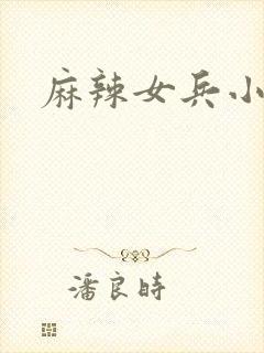 麻辣女兵小说版