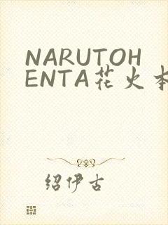 NARUTOHENTA花火本子