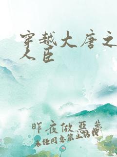 穿越大唐之位极人臣