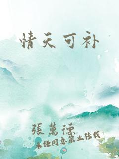 情天可补
