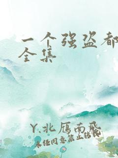 一个强盗都不留全集