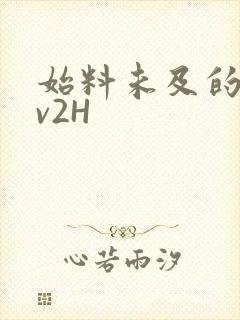 始料未及的软1v2H