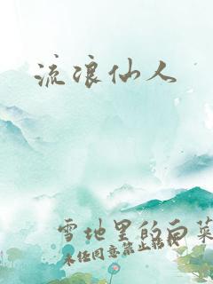 流浪仙人