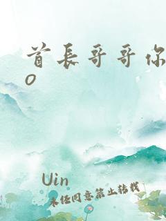 首长哥哥你好po