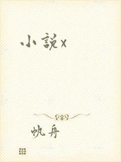 小说x
