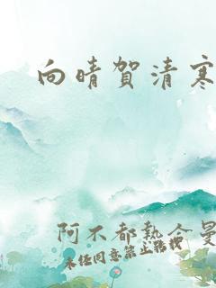 向晴贺清寒小说