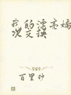 我的漂亮娇妻初次交换