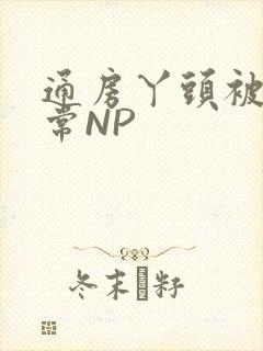 通房丫头被肉日常NP