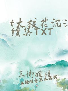 t大校花沉浮录续集TXT