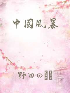 中国风暴