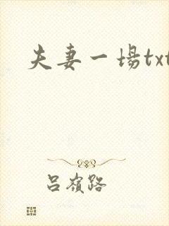 夫妻一场txt
