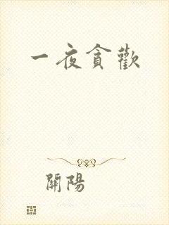 一夜贪欢