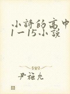 小诗的高中日记1一15小说