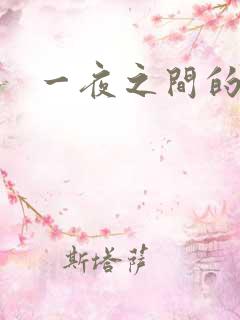 一夜之间的天才