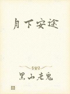 月下安途